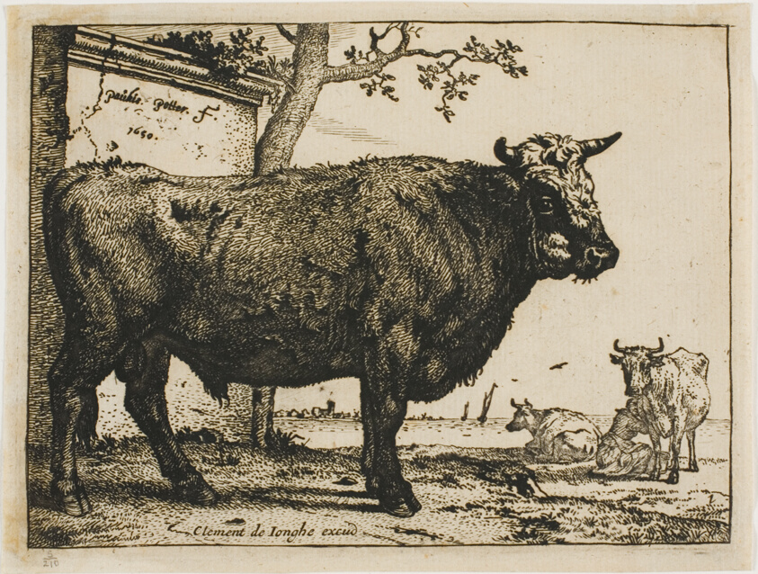 The Bull (1650) // Paulus Potter Dutch, 1625-1654